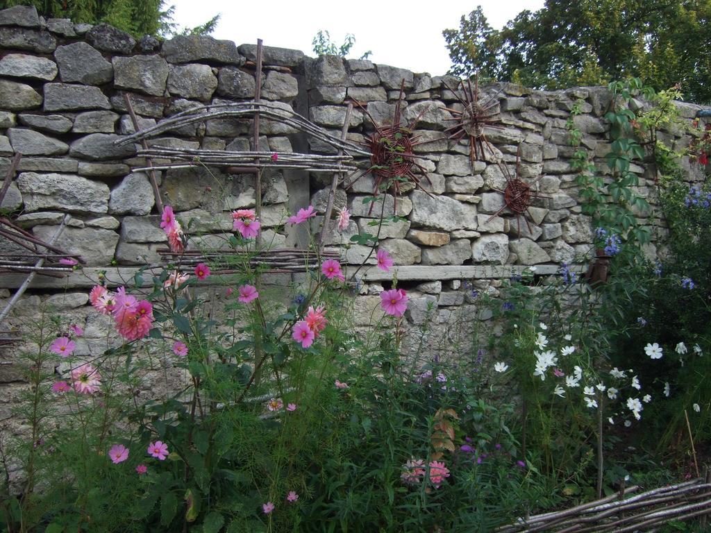 Le Vieux Velo Bed and Breakfast Chaptuzat Zewnętrze zdjęcie